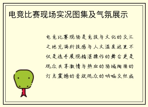电竞比赛现场实况图集及气氛展示