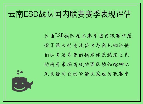云南ESD战队国内联赛赛季表现评估